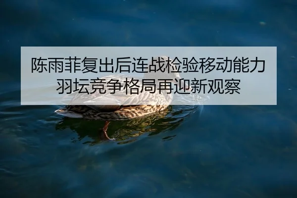 陈雨菲复出后连战检验移动能力 羽坛竞争格局再迎新观察